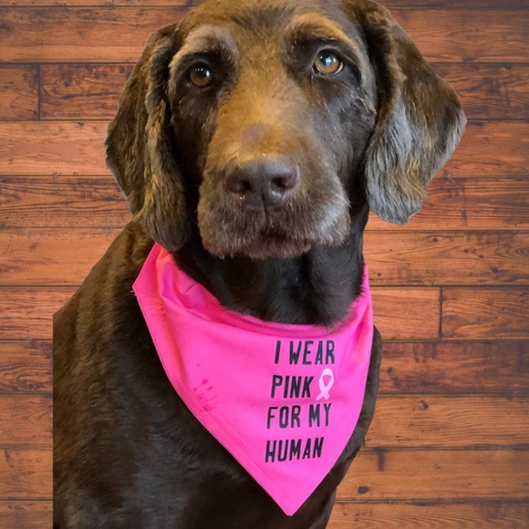Pet Scarf Pink I Wear Pink for my Human w Breast Cancer Ribbon Size Large - Picture 1 of 1